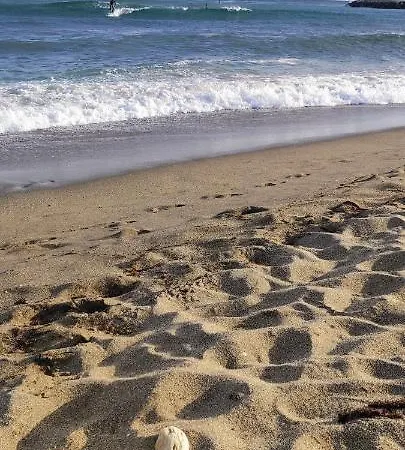 Algaidabeach-paseolitoral *