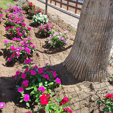 Apartment Algaidabeach-paseolitoral Sitio de Calahonda