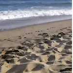 アパート Algaidabeach-sendalitoral *